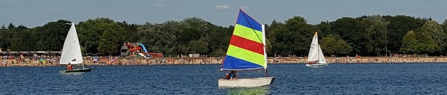 Main picture